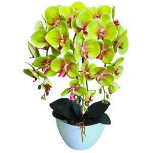 Damich 3pgz künstliche Orchidee, grün, aus Gummi, wie lebendig