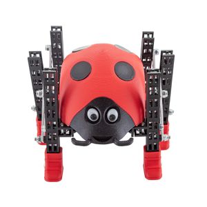 Totem Ladybug Roboter-Bausatz