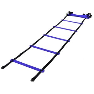 Kawanyo Koordinationsleiter Agility 4m, blau