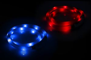 PRECORN LED Silikon Hundehalsband Set in Rot und Blau | Sicherheits-Halsband | Leuchthalsband aufladbar mit USB | Wasserdicht | Individuell kürzbar