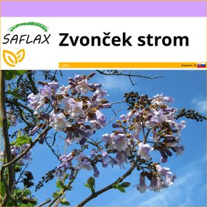SAFLAX - zvonček strom - Paulownia tomentosa - 200 Semená