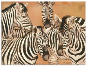 ARTland Alubilder Zebras Alubild Größe: 60x45 cm