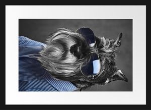 Lustiger Hund mit Hemd und Sonnenbrille B&W DetailBilderrahmen mit Galerie-Passepartout / Format: 55x40cm / gerahmt / hochwertige Leinwandbild Alternative