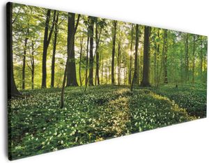 Wallario Premium Leinwandbild Waldanemonen und Sonnenstrahlen im Wald in Größe 80 x 200 cm