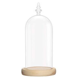 Belle Vous Glas Glocke Glaskuppel Groß mit Holzboden – 26,5cm Dekorative Glashaube Als Tischdeko, Deko Glas Kuppel Transparent Glasglocke, Glass Dome Cloche mit Boden für Lichter, Deko, Wohnaccessoire