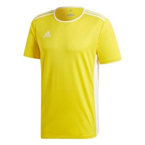 Adidas Entrada 18 Yellow / White XL