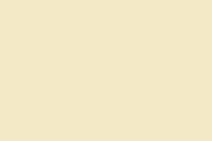 Klebefolie Uni Matt Beige Möbelfolie Dekofolie - Küchenfolie Schrankfolie Tischfolie - 45 cm x 1 m