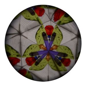 Kaleidoskop Meerestiere