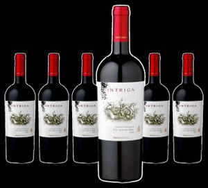 kaufen aus günstig Wein Chile online