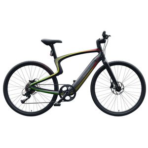 Urtopia Smart Carbon 1s E-Bike Rainbow 50cm (Smart-Fahrrad, Gangschaltung, Sprachsteuerung, Navi, App, Bluetooth)