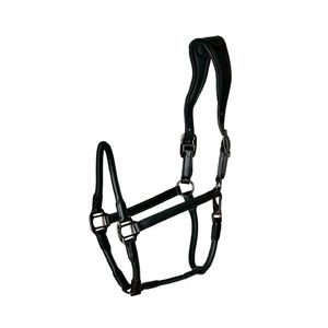 Catago Equestrian Lederhalfter Schwarz Full