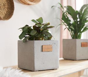Übertopf "Cube" aus Beton, grau, Pflanztopf, Blumentopf für Zimmerpflanzen, Pflanzgefäß, Blumenkübel