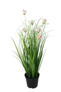 Künstliches Gras mit weißen Magnolien Blüten 40cm Kunstgras Kunstpflanze KP750 Dekogras