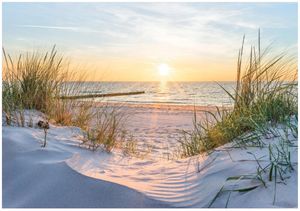 Fototapete Strand und Meer Ostsee Natur Dünen 400x280 cm - inkl. Kleister - für Schlafzimmer Wohnzimmer Flur Modern Vlies Tapete Vliestapete Wandtapete Motivtapeten UV-Beständig