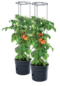 2x Tomatenpflanze Pflanzkübel Pflanzen Tomate 28L Garten Terrasse PAFEN