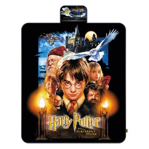 Harry Potter Pikniková deka - 20. výročí