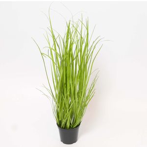 Kunstpflanze Zimmerpflanze aus künstliches Schilfgras grün Höhe 45cm