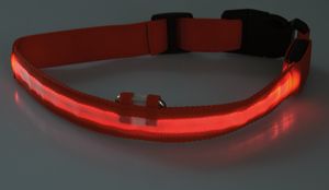 ChiliTec Hunde Halsband mit LED Beleuchtung Sicherheitslicht, Stabiler Clip und gehärteter Metallring, 28-60 cm Größe S - XL, rot (S = 28-35cm, ROT)