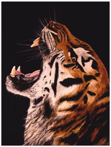 ARTland Wandbild Alu für Innen & Outdoor Tiger Größe: 60x80 cm