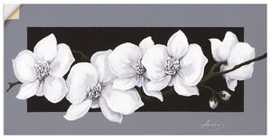 ARTland Wandbild, selbstklebend Weiße Orchideen Größe: 60x30 cm
