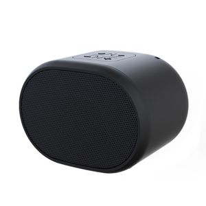 Tragbarer drahtloser Bluetooth-kompatibler 5.0-Lautsprecher mit Mikrofon-Stereo-Rauschreduzierung-Schwarz