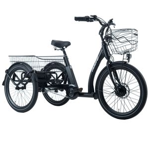 Adore Cargo E-Bike Swing Dreirad für Senioren / Erwachsene mit 250W 36V/13 Ah Li-Ion-Akku 3 Gänge