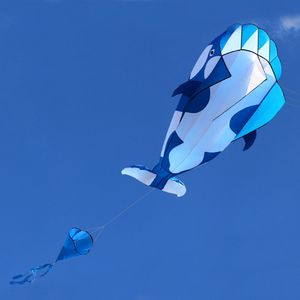 Lixada 3D Kite Riesiger rahmenloser weicher Parafoil-Riesenwal-Drachen 【120 * 215cm】mit 30m Einleiner Flugdrachen