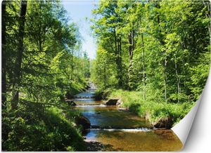 Vlies fototapete Gebirgsbach Wald natur 300x210 cm Feeby Grün inkl. Kleber einfache Montage