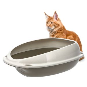 GarPet Katzenklo ohne Deckel Katzentoilette mit Rand Katzen WC Schalentoilette 57x40x19 cm grau oval hygenisch