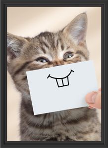 Lustige Katze mit Lächeln auf Papier im Schattenfugen Bilderrahmen / Format: 55x40 im Schattenfugen-Bilderrahmen / Kunstdruck auf hochwertigem Galeriekarton / hochwertige Leinwandbild Alternative