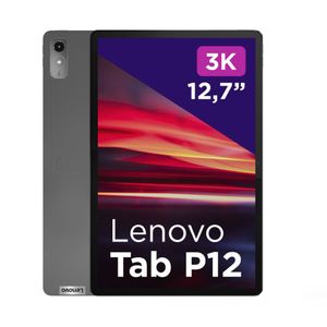 Tab P12, šedá, 12,7 palce, 8 GB, 128 GB