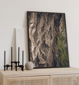 Poster Baumrinde, groesse_poster:70x100 cm, groesse_rahmen:weiß 70x100 cm