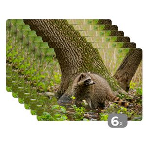 MuchoWow® MuchoWow® Platzsets 6er Set Tischset abwaschbar Platzdecken 45x30 cm Waschbär - Wasser - Wald - Tischmatte Platzmatte Untersetzer rutschfest und Hitzebeständig - Placemat - Tischuntersetzer