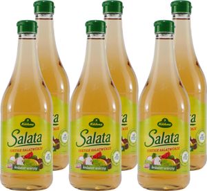 Kühne Salata Salatwürze (6 x 0,75L)