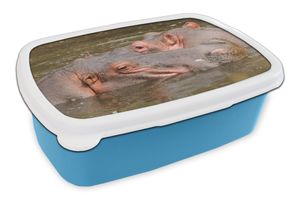 MuchoWow® Lunchbox Brotzeit Brotdose 17x11 cm Nilpferd - Wasser - Natur Kinder Brotzeitdose - Lunch - Kunststoff  - Brotbüchse - Sandwichbox - Lunchbox für Kinder