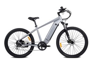 Spark - Grey - 250W/20Ah - Elektrický bicykel Horský bicykel - E-mountain bike