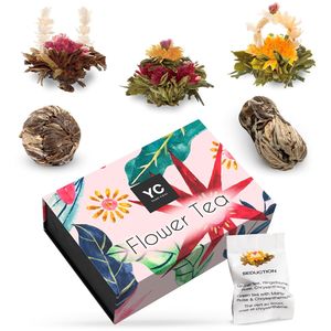 YC Yang Chai Teeblumen Geschenkset "Symbiosis" - 6 Teeblüten - Schwarzer & Grüner Tee in edler Magnetbox
