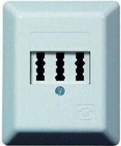 PTAE Telefondose AP 2x6/6NF/F cw