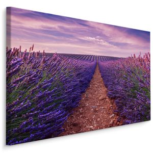 Fabelhafte Canvas LEINWAND BILDER 120x80 cm XXL Kunstdruck Natur Blumen Lavendel Feld