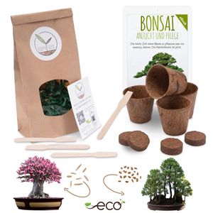 Bonsai Starter Kit Anzuchtset inkl. GRATIS eBook - Pflanzset aus Kokostöpfen, Samen & Erde (Wüstenrose + Berg Mammutbaum)