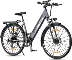 26M208 E-bike 26'' Trekkingrad E-Cityrad mit 36V Elektrofahrrad - grau