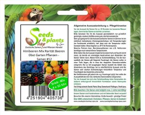 40x Himbeeren Mix Rarität Beeren Obst Garten Pflanzen - Samen #12