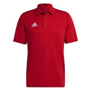 adidas Entrada 22 Poloshirt Herren tepore XXL