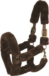 Waldhausen Halfter Cozy, Größe:Warmblut, Farbe:braun/gold Waldhausen Halfter Cozy, Größe:Warmblut, Farbe:braun/gold