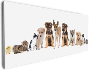 Wallario Premium Leinwandbild Süße Haustiere - Katzen  Hunde  Hamster  Küken II in Größe 60 x 150 cm