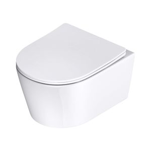 doporro Hänge-Toilette Hänge-WC inkl Soft-Close Spülrandloses wc spülrandlose toilette Aachen306