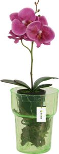 Blumentopf, Blumenübertopf, Glas, für Orchideen, Orchideentopf D 15,5 cm H 18 cm Grün, Riss- und Spinnwebenstruktur, Groß, mit raumregulierendem Wassermanagement, Moderne Vase für Schnittblumen