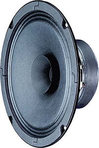 Visaton Lautsprecher VS-BG17 Schwarz TV Lautsprecher 80Hz-20kHz