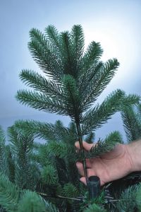 Xenotec Weihnachtsbaum, 120 cm, Aufbauhöhe 85 - 120 cm, inklusive Standfuß