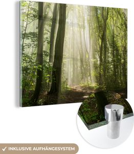MuchoWow® Glasbilder - Bilder auf Wandbild - Foto auf Glas Wald - Licht - Natur - Landschaft 80x60 cm Wanddekoration aus Glas - Acrylglasbild - Acrylbilder - Wanddekorationen MuchoWow® Glasbilder - Bilder auf Wandbild - Foto auf Glas Wald - Licht - Natur - Landschaft 80x60 cm Wanddekoration aus Glas - Acrylglasbild - Acrylbilder - Wanddekorationen